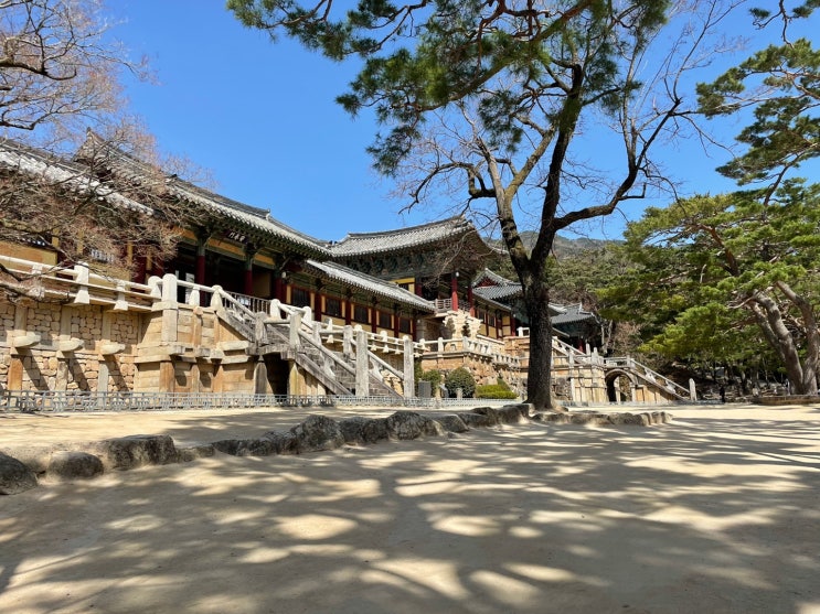  경주 날씨 최고!!!!!