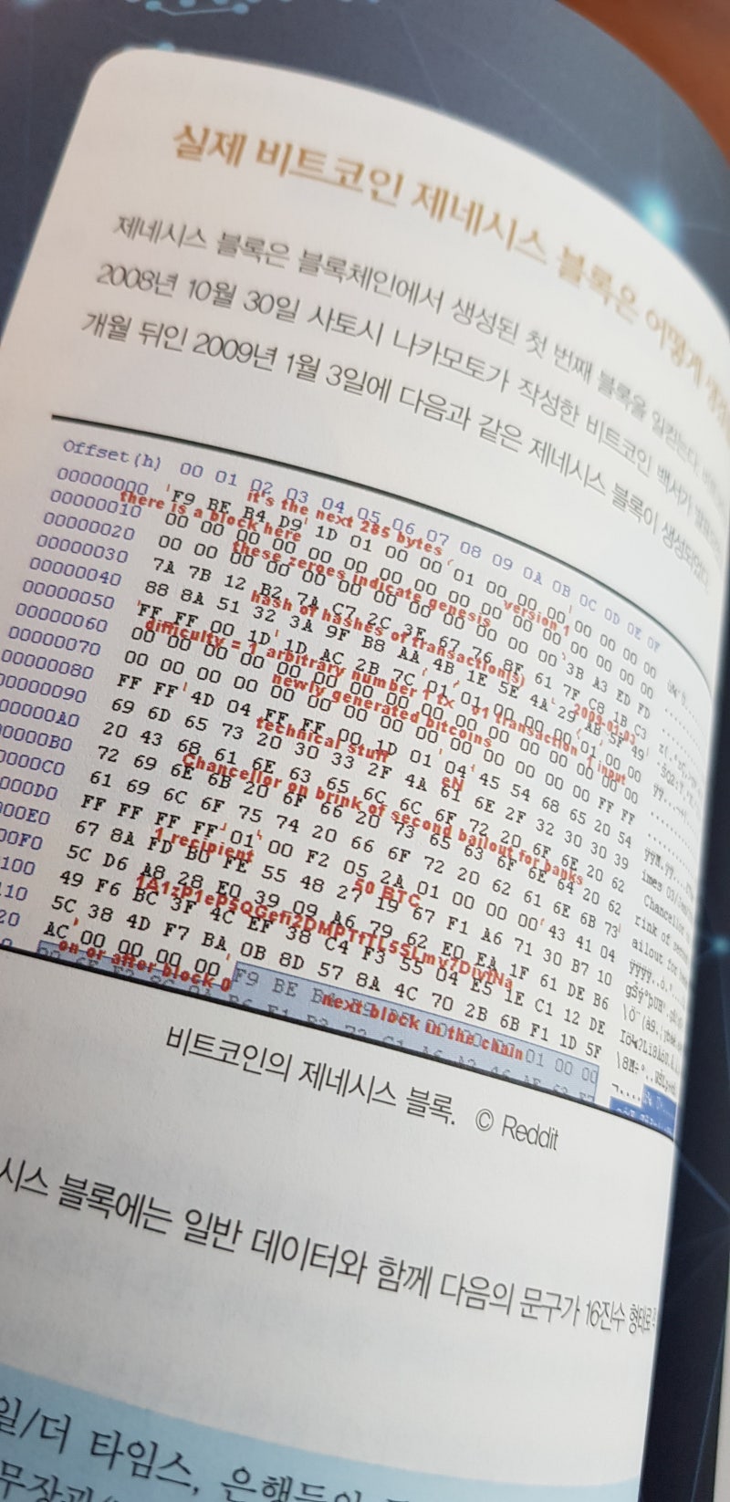 책소개] 암호화폐와 NFT, 무엇이 문제일까? : 네이버 블로그