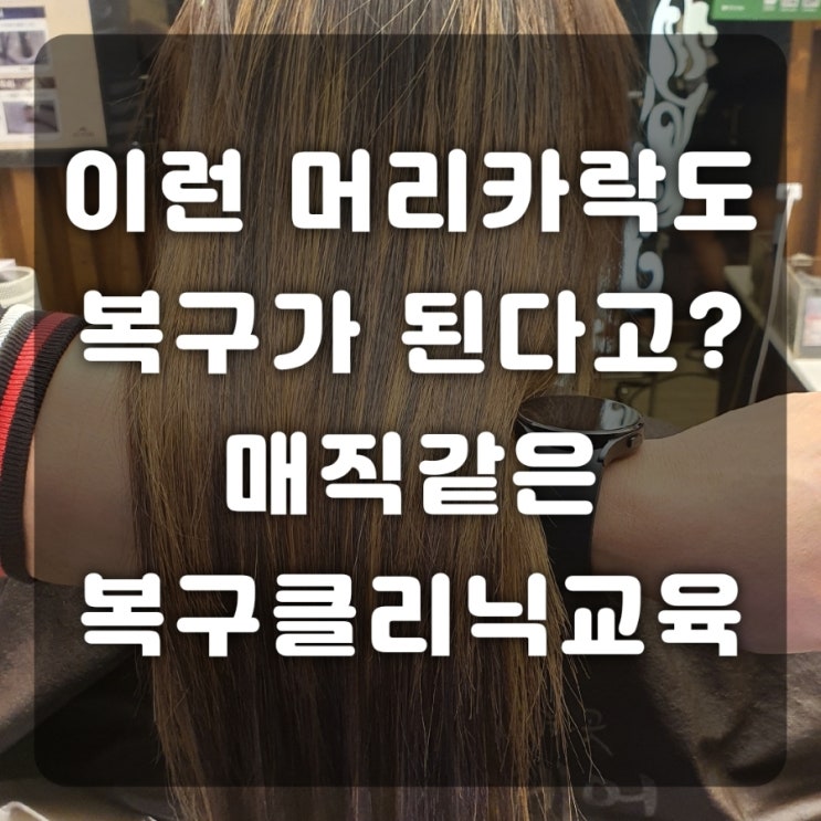  동하원장의 확실한 극손상모 복구클리닉 매직 부산미용실 교육