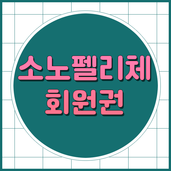  소노펠리체회원권 비발디파크빌리지, 대명노블리안회원권 정보입니다