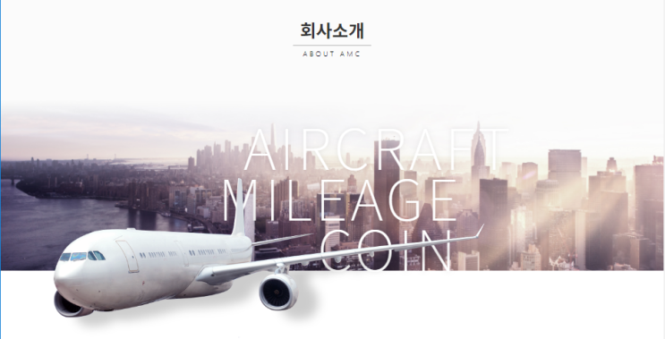  AMC AMCex 회사소개