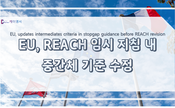  EU, REACH 임시 지침 내 중간체 기준 수정