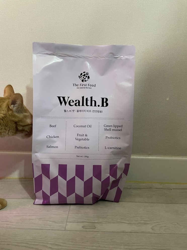 Wealth.B (웰스비)_올에이지 비프 가수분해 고양이 사료 후기