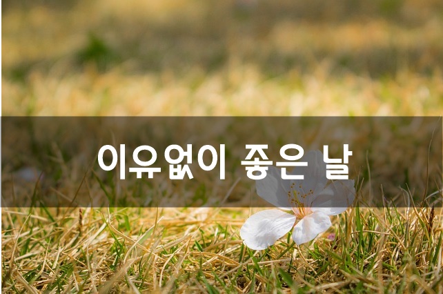  이유없이 좋은 날
