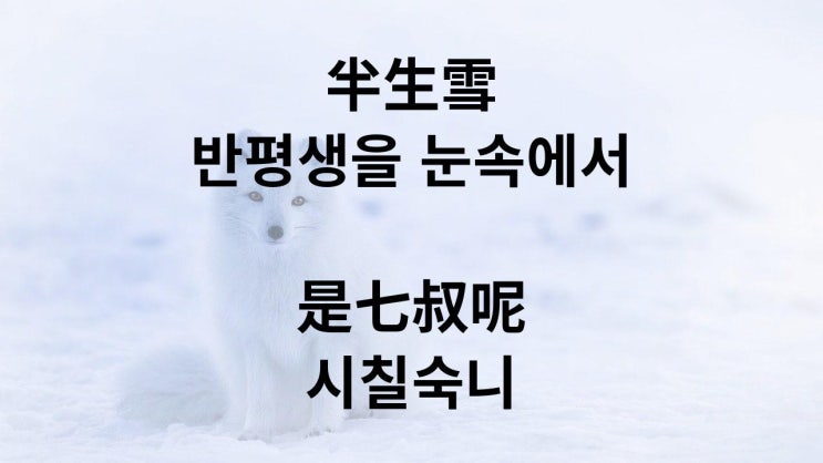  半生雪 반평생을 눈속에서 / 병음,단어