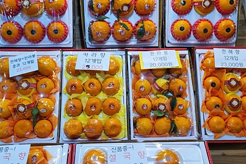 오늘청과2 이미지