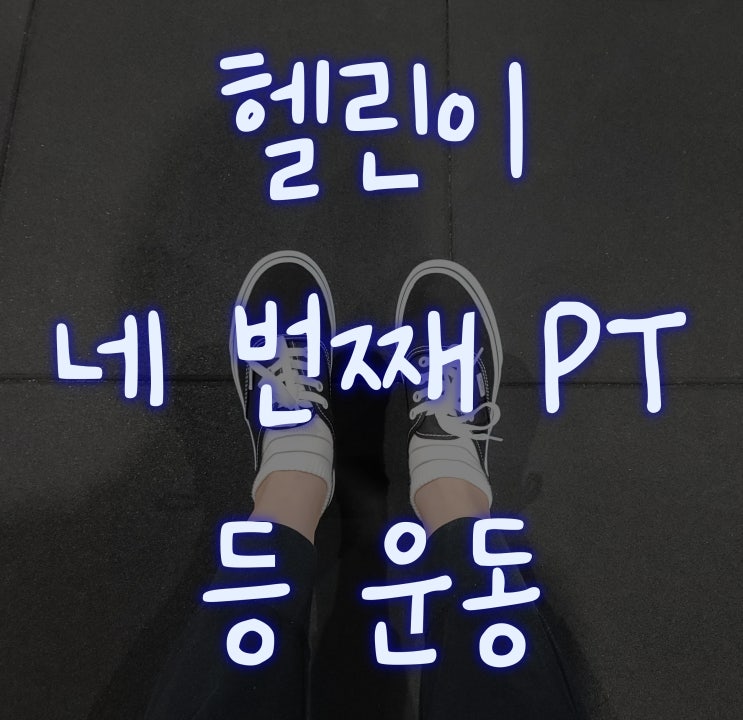  [헬린이#4] PT: 네 번째 PT는 등 운동!  _헬린이는 느끼기 힘든 등 근육!