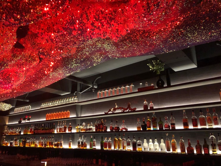  청담동 칵테일바 | 바제라늄 Bar Geranium