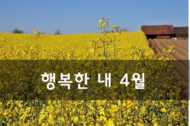  행복한 내 4월 - 윤보영 -