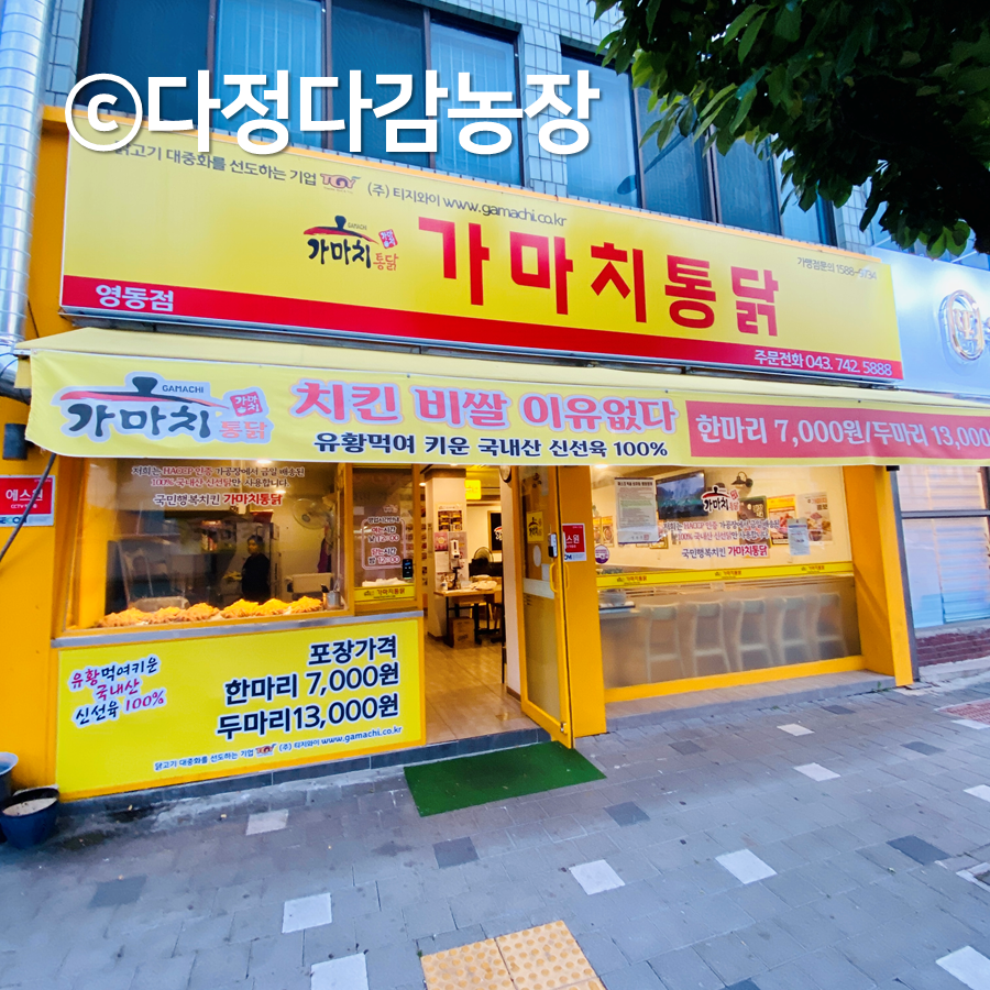 가마치통닭 영동점 사진 1