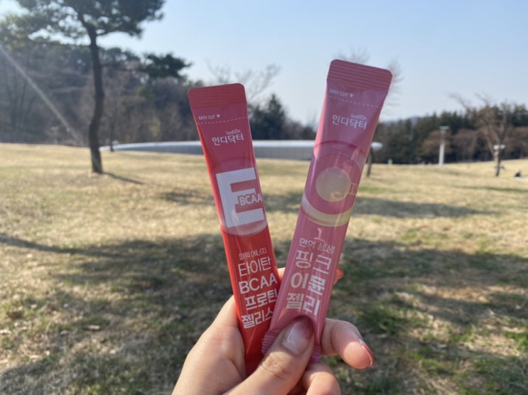  면역력 챙기자! 인디닥터 핑크 이뮨 젤리, 타이탄 BCAA 프로틴 젤리 리뷰