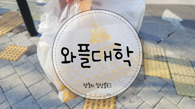  내돈내산) 라떼갬성 와플 대학 대구 침산 캠퍼스