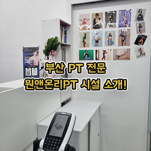 부산 부암동 PT 재활 운동 잘하는 원앤온리피티 시설 소개!