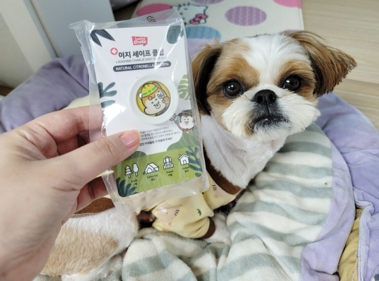  강아지 진드기 목걸이, 해충방지되는 래핑찰리 이지세이프 클립