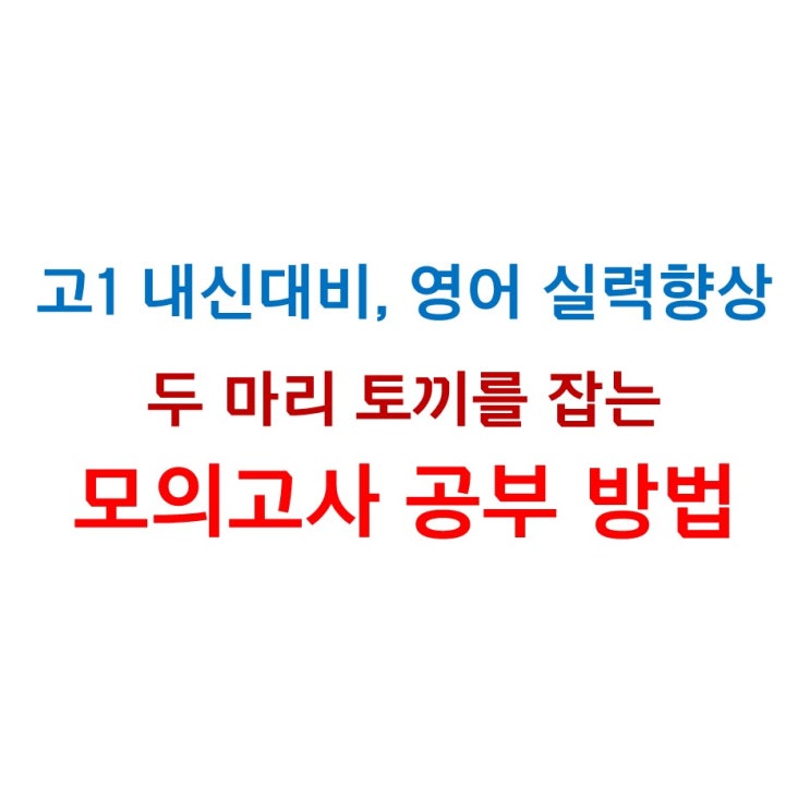  고1 내신대비와 영어 실력 향상 두 마리 토끼를 잡는 모의고사 공부 방법
