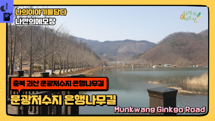  충북 괴산여행 아름다운 길 문광저수지 문광은행나무 길