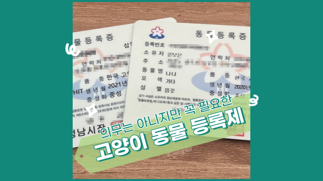  반려동물 등록제, 고양이도 의무인가요? 신청 방법과 비용 정리