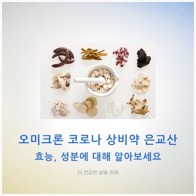  오미크론 코로나 상비약 은교산 효능, 성분에 대해 알아보세요