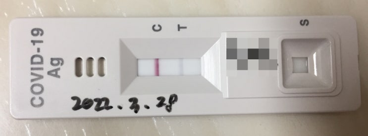  코로나(오미크론) 자가 진단 키트 희미한 두 줄 양성일까?