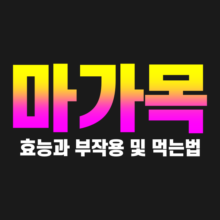  마가목 효능 부작용 먹는법 마아목