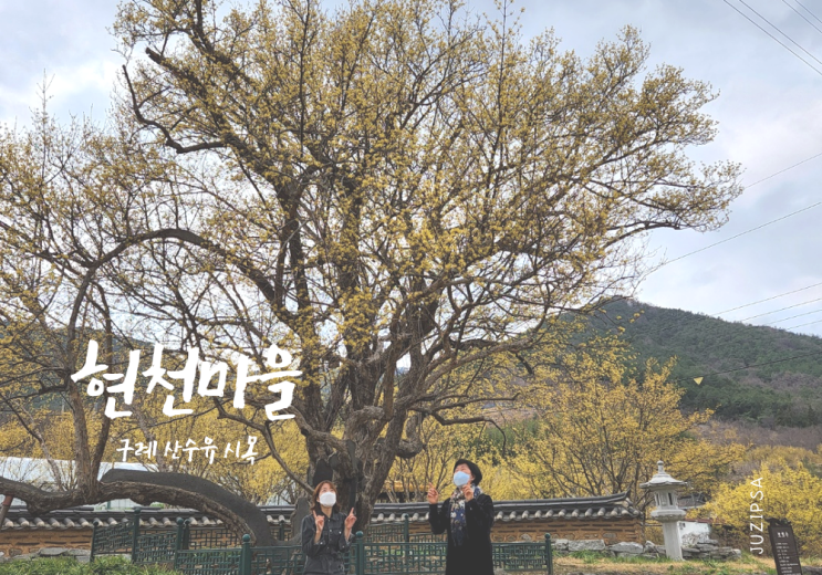  구례 산수유 시목 현천마을에서 만난 충무공 이순신 장군 난중일기