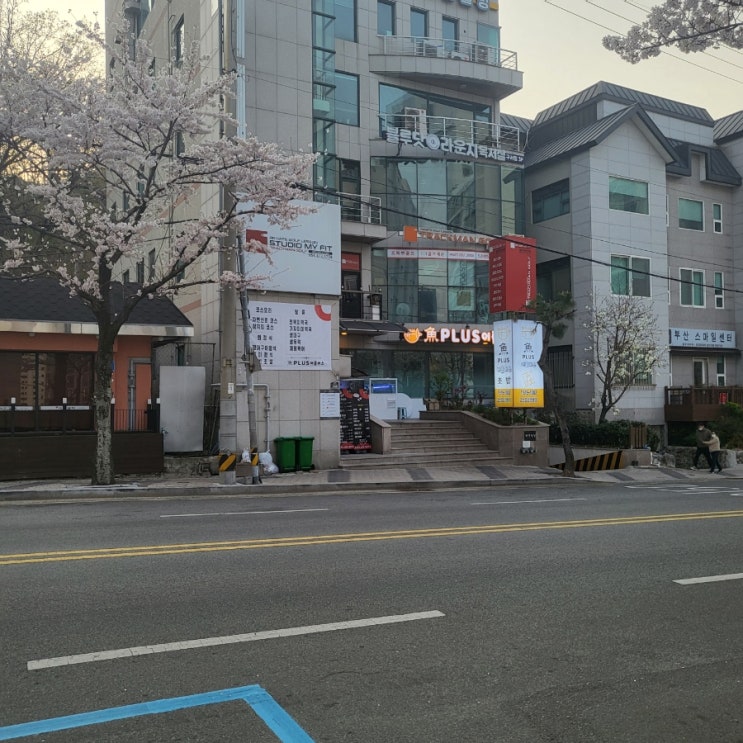  구서동 스시 코스로 즐기는 어플러스