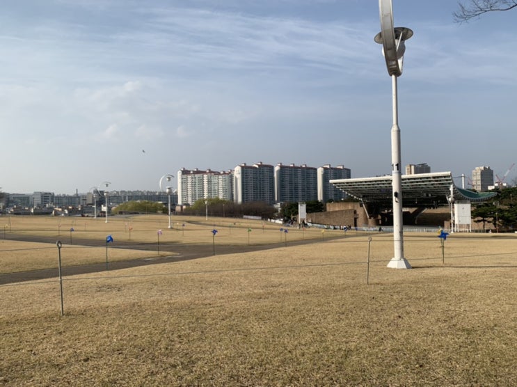  두류공원 벚꽃구경 다녀왔어요 :)