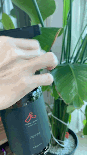좀벌레 방지 피톤치드스프레이 추천 김민재 편백 편백수 피톤치드 좀벌레 방지 피톤치드스프레이 추천 김민재 편백 편백수 피톤치드