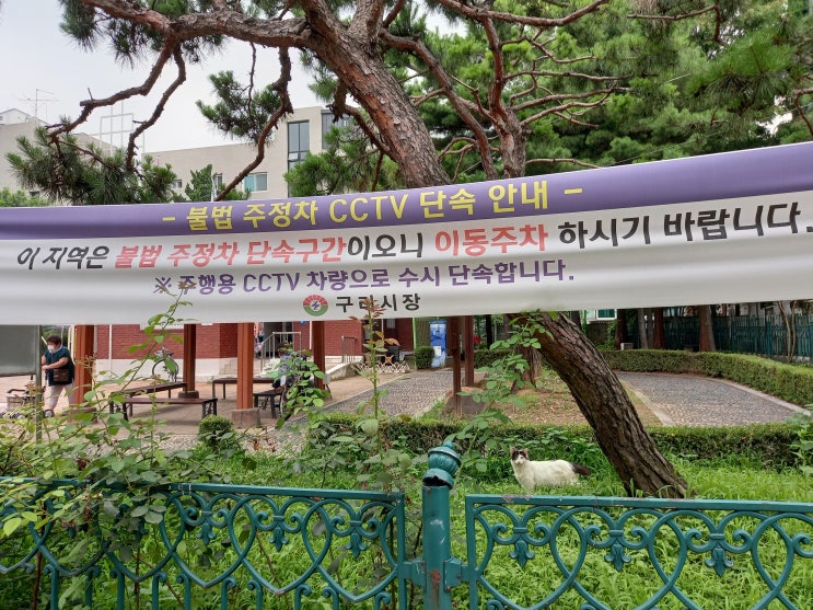 작년 여름에 찍은 구리시 새마을공원(수평6호 어린이공원) 사진입니다.