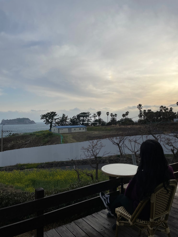  루아앤티그리 뷰가 환상이었던 서귀포카페