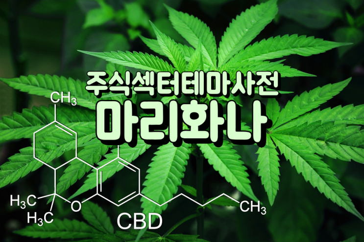  주식섹터테마사전: 마리화나(대마) 관련주
