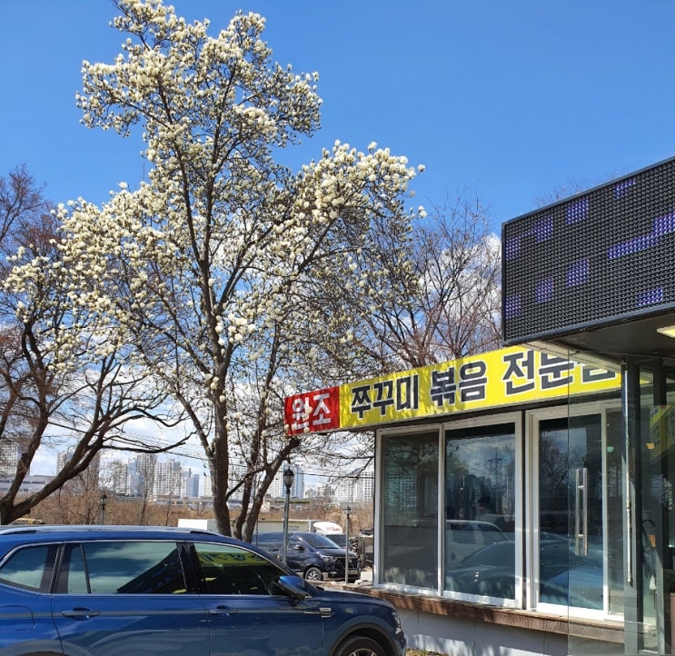  탱글탱글한 주꾸미볶음 @ 미사리 원조청솔향기 (내돈내산)