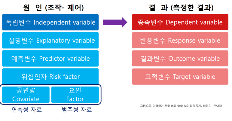  [빅분기 3과목] 회귀분석