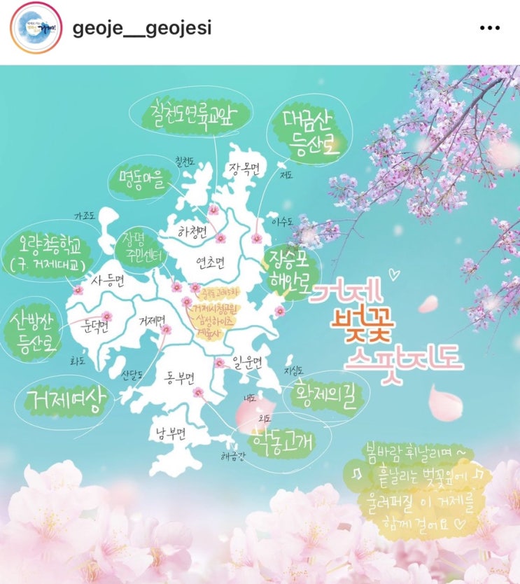 거제 벚꽃 스팟 지도_이번 주말이 피크일 것 같아요. 거제 벚꽃 스팟 지도_이번 주말이 피크일 것 같아요.