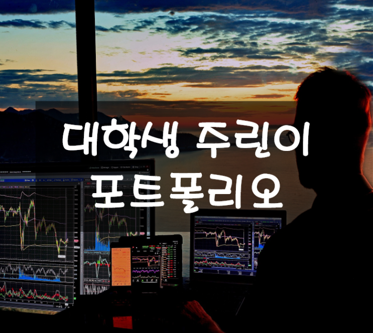  대학생 주린이 현재 보유하고 있는 국내 주식 및 해외주식, ETF