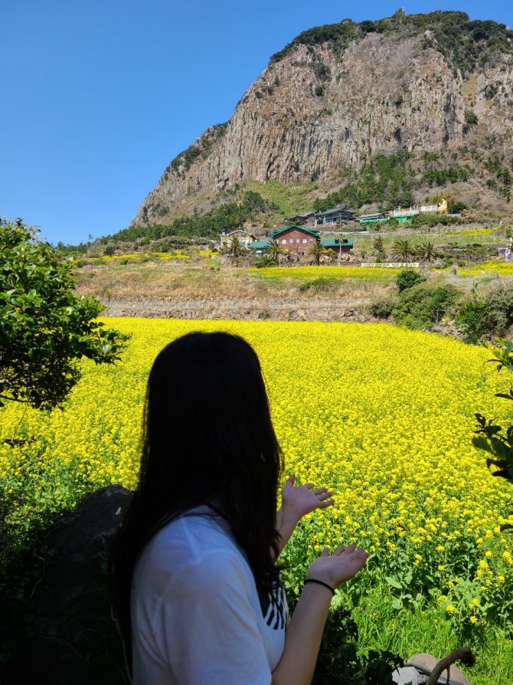  더 행복해지는 봄의 기록, 제주 올레길 10코스