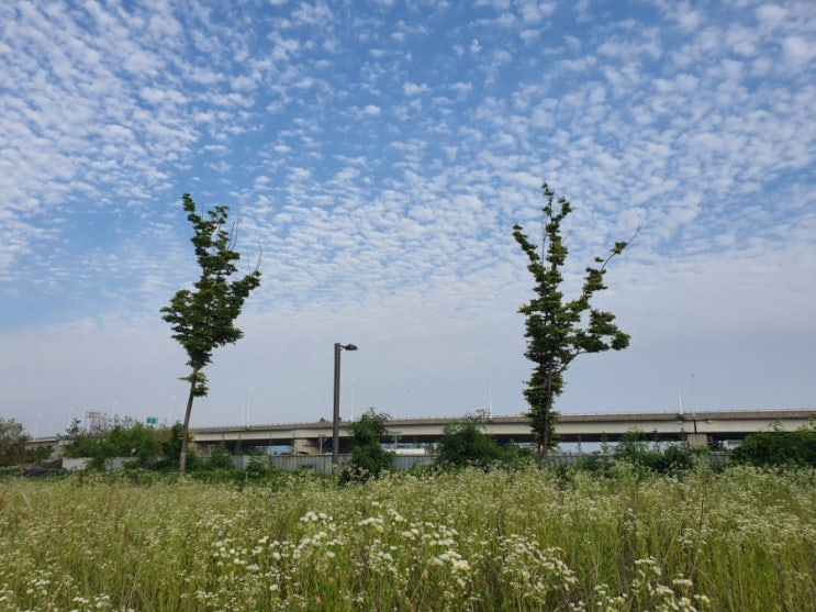  꼭 그만큼의 거리에서