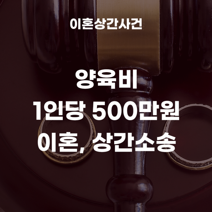  유부남과의 불륜으로 상간자소송 당한 사례, 양육비 1인당 500만원이 확정된 이혼, 상간소송, 구상권청구소송