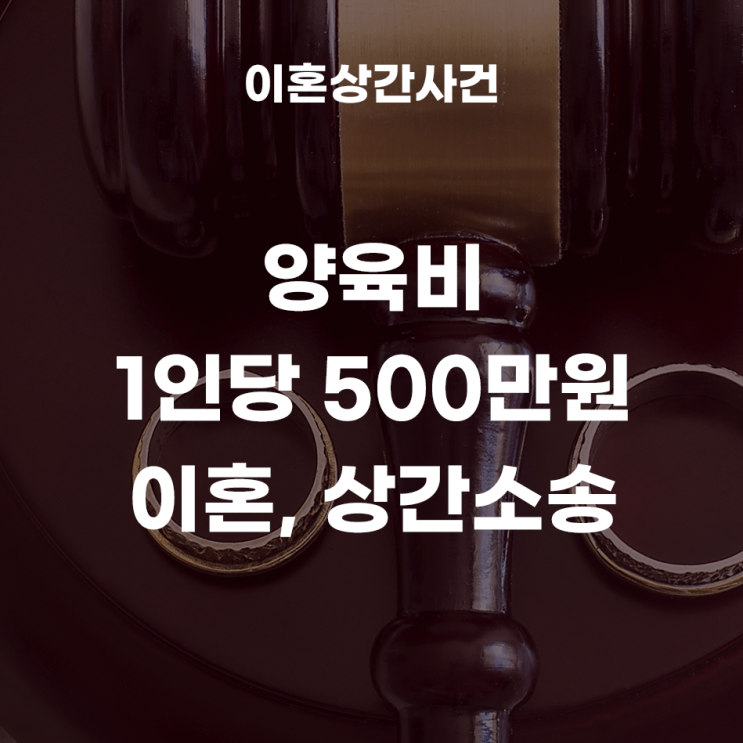 유부남과의 불륜으로 상간자소송 당한 사례, 양육비 1인당 500만원이 확정된 이혼, 상간소송, 구상권청구소송