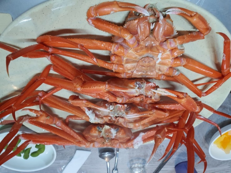 마산 교방동맛집 대게 무한리필 대게1번가 대게일번지 마산 교방동맛집 대게 무한리필 대게1번가 대게일번지