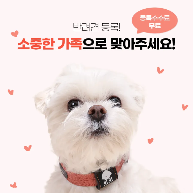  국가 동물 등록 강아지 인식표 외장칩
