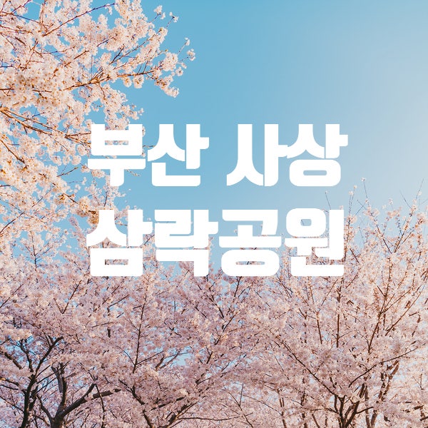 삼락공원 벚꽃 나들이 6번 유료주차장 정보 낙동제방벚꽃길