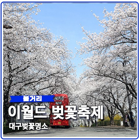 대구 이월드 벚꽃축제 개화상황 할인정보