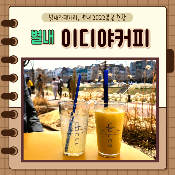 경기 남양주) 별내 벚꽃구경 별내카페거리 이디야커피 별내동부점 구정남재묘역 공원