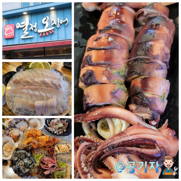  라페스타에 이런 숨은 가성비 횟집이 있었다니? 정발산맛집 열정오징어