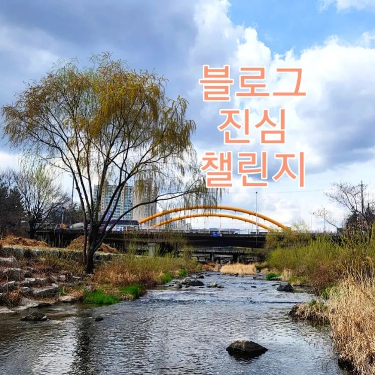  나를 알아보는 시간[블로그 진심 챌린지]