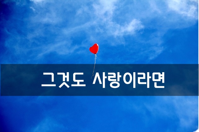  그것도 사랑이라면