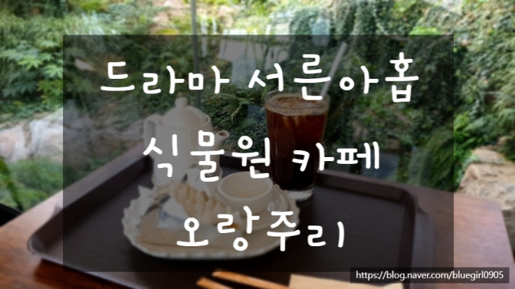 서울 근교 카페 드라이브] 양주 오랑주리, 식물원카페, 드라마 서른아홉 식물원카페