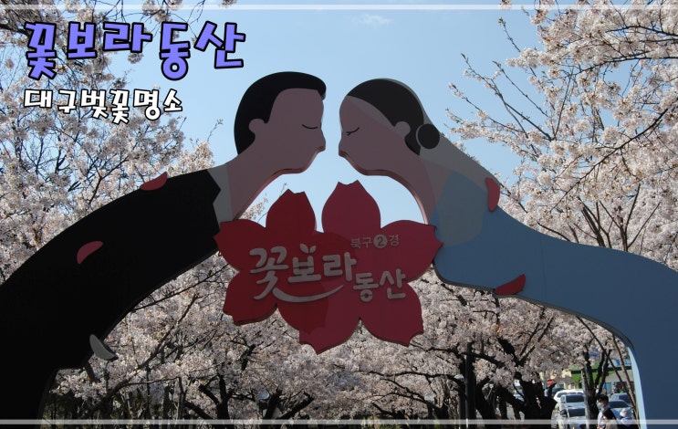  대구벚꽃명소 꽃보라동산에서 봄바람 맞아요