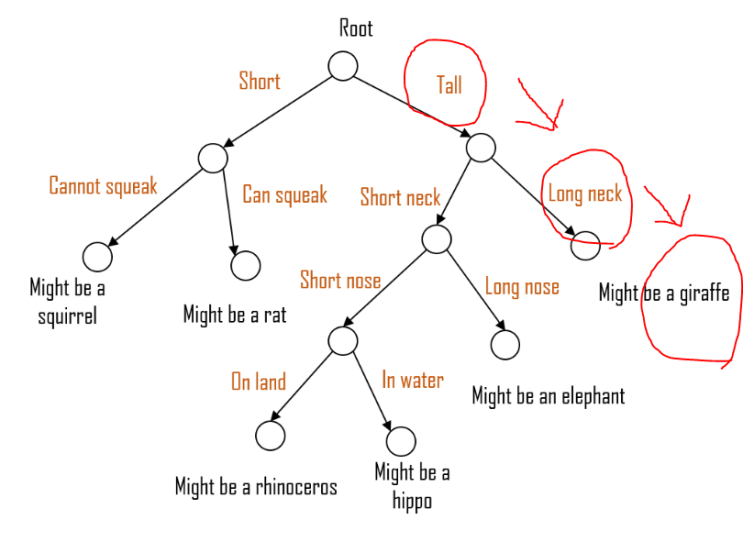  [빅분기 3과목] 의사결정나무(Decision Tree)
